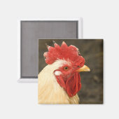 Hen Nah-up Magnet (Vorderseite/Rückseite)