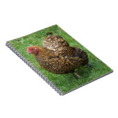 Hen Notebook Notizblock (Rechte Seite)