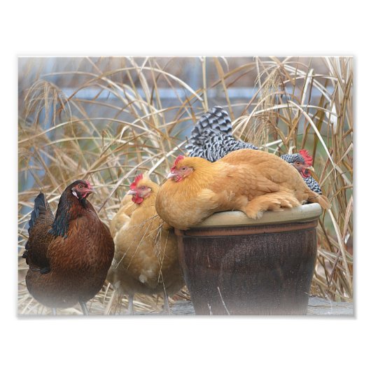 Hen Party Foto Print (Vorne)