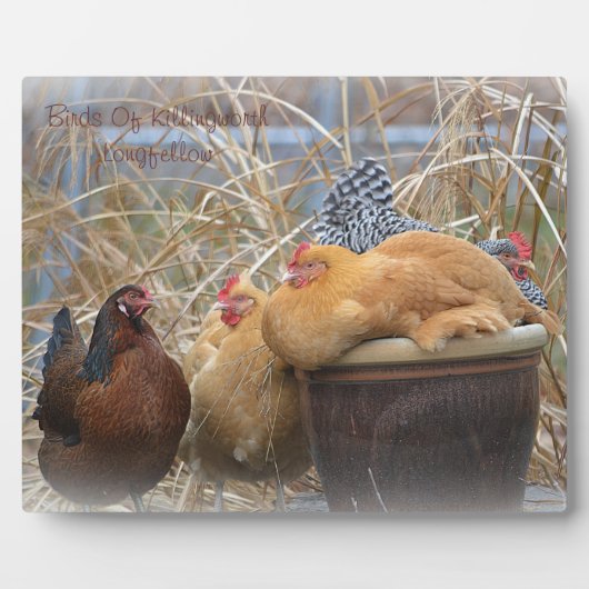Hen Plaque Fotoplatte (Vorderseite)