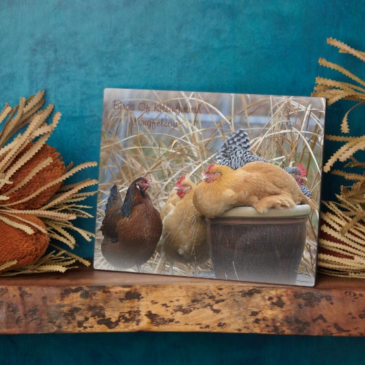 Hen Plaque Fotoplatte (Seite)