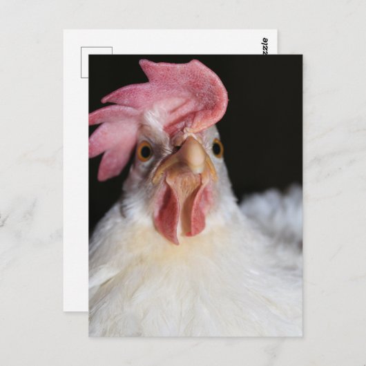 Hen Postkarte (Vorne/Hinten)
