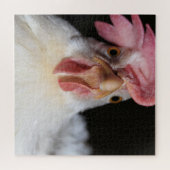 Hen Puzzle (Horizontal)