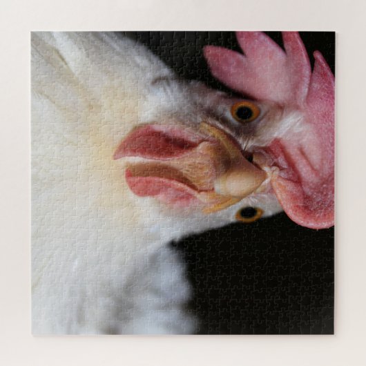 Hen Puzzle (Horizontal)