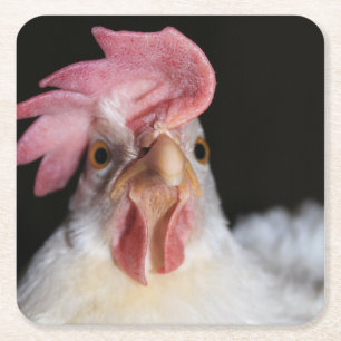 Hen Rechteckiger Pappuntersetzer