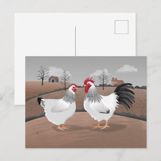 Hen & Rooster Postkarte (Vorne/Hinten)