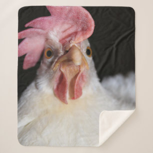 Hen Sherpadecke