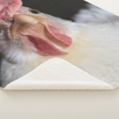 Hen Sherpadecke (3/4)