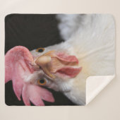 Hen Sherpadecke (Vorderseite (Horizontal))