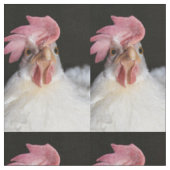 Hen Stoff (Nahaufnahme)
