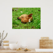 Hen und Chick Poster (Küche)