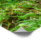 Hen und Chick Poster (Ecke)