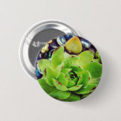 Hen und Chicks Button (Vorne & Hinten)