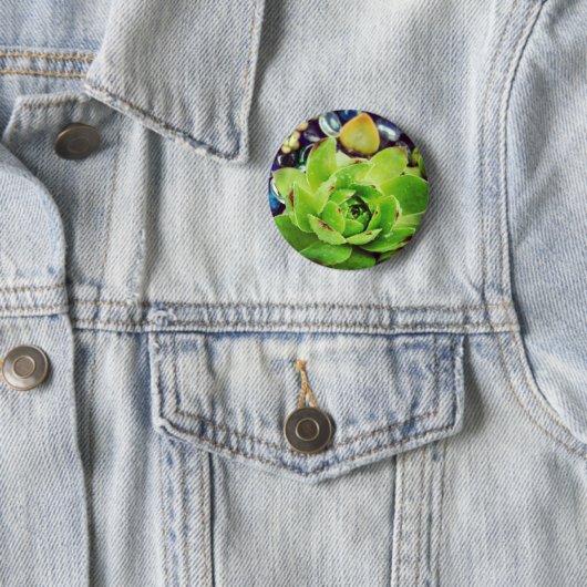 Hen und Chicks Button (Beispiel)