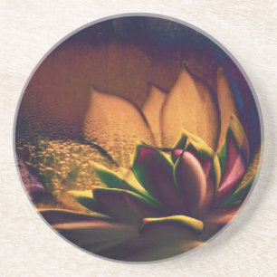 Hen und Chicks Pflanze Digitale Kunst Getränkeuntersetzer