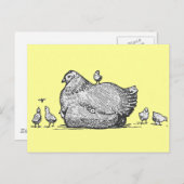 Hen und Chicks Postkarte (Vorne/Hinten)