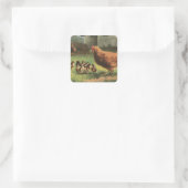 Hen und Chicks Quadratischer Aufkleber (Tasche)