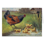 Hen und Ducklings (Vorderseite (Horizontal))