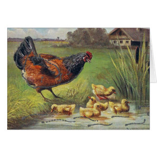 Hen und Ducklings