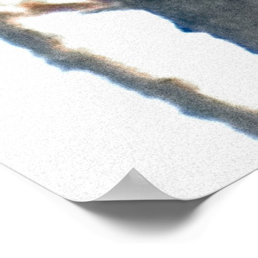 Hen Woodduck Poster (Ecke)