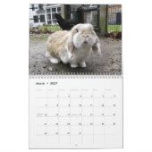 HenCam Kalender 2013 (Mär 2027)