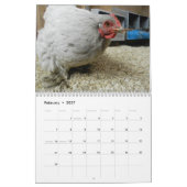 HenCam Kalender 2014 (Feb 2027)