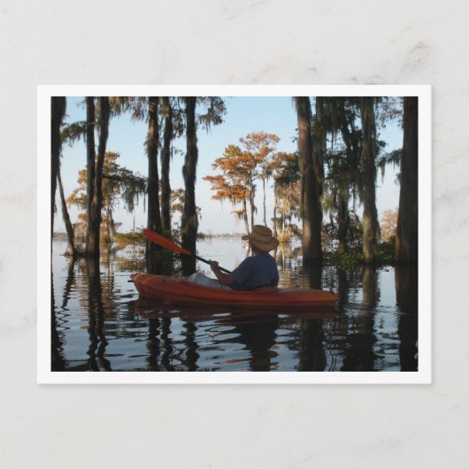 Henderson Swamp PostCard Postkarte (Vorderseite)