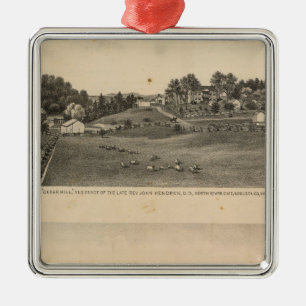 Hendren-Wohnungen Silbernes Ornament