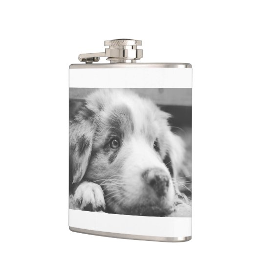 Hengst Flachmann (Links)