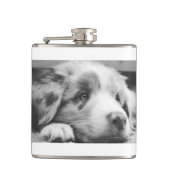 Hengst Flachmann (Vorderseite)