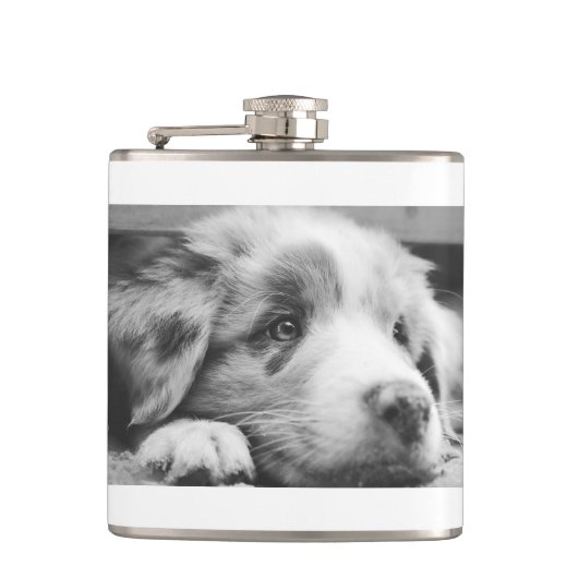 Hengst Flachmann (Vorderseite)