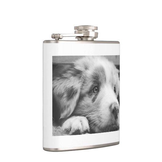 Hengst Flachmann (Rechts)