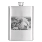 Hengst Flachmann (Vorderseite)