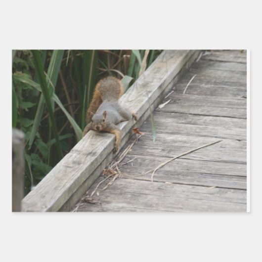 Hengst Geschenkpapier Set (Vorderseite 3)