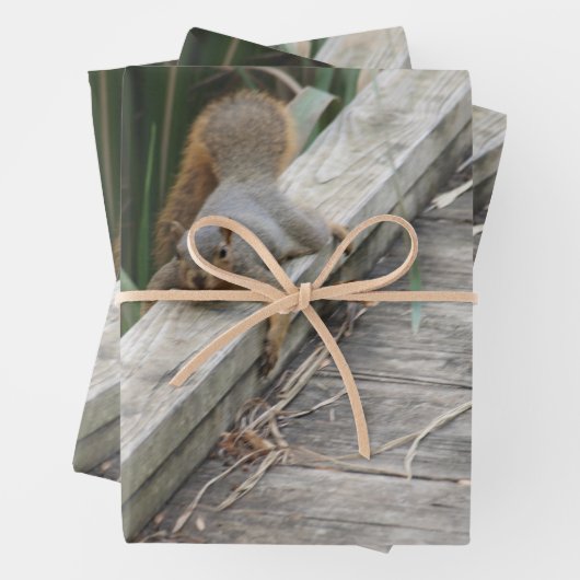 Hengst Geschenkpapier Set (Beispiel)