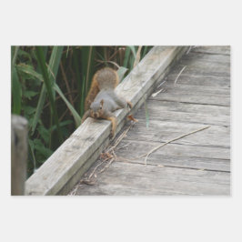 Hengst Geschenkpapier Set