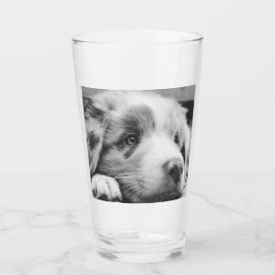 Hengst Glas