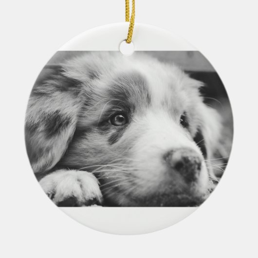 Hengst Keramik Ornament (Vorne)