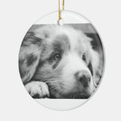 Hengst Keramik Ornament (Links)