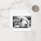 Hengst Mitteilungskarte (Vorderseite/Rückseite Beispiel)