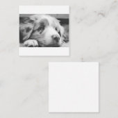 Hengst Mitteilungskarte (Vorne/Hinten)