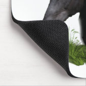 Hengst. Mousepad (Ecke)