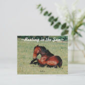 Hengst ruht Postkarte (Stehend Vorderseite)