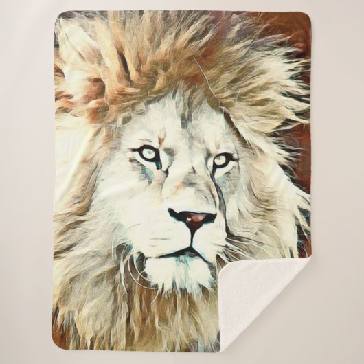 Hengst Sherpadecke (Vorderseite)