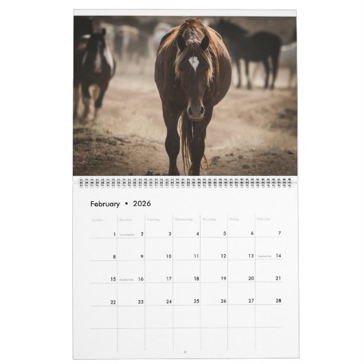 Hengste der McCullough-Gipfel Kalender (Feb 2026)