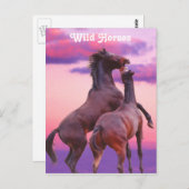 Hengste, die Postkarte spielen (Vorne/Hinten)