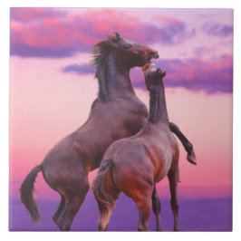 Hengste, die Tile spielen Fliese