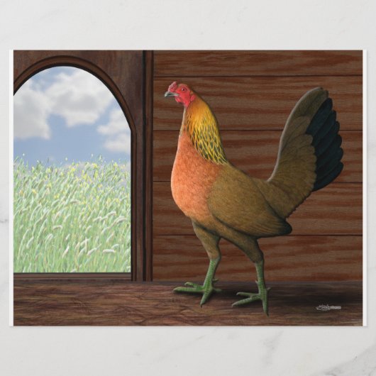 Henhouse View Flyer (Vorne)