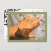 Hennastrauch-Postkarte No2 2009 Postkarte (Vorne/Hinten)