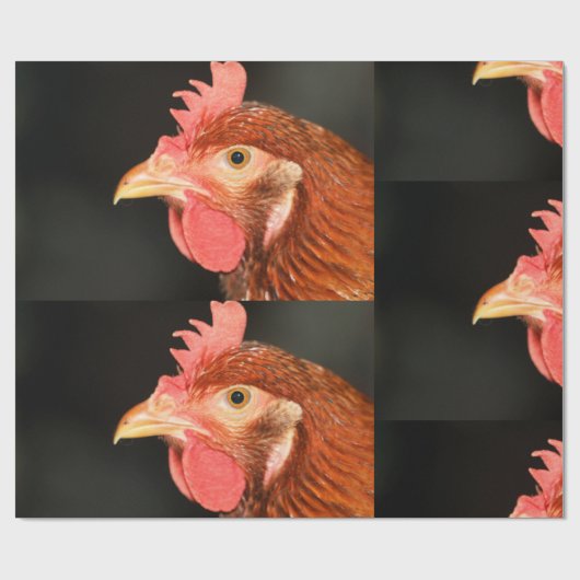 Henne Geschenkpapier (Flach)